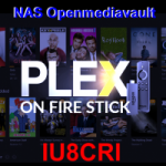 ECCELLENTE PLEX SU Fire TV Stick Basic Edition di Amzon