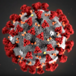 Coronavirus (COVID-19) Per essere informati scientificamente e da fonti ufficiali.